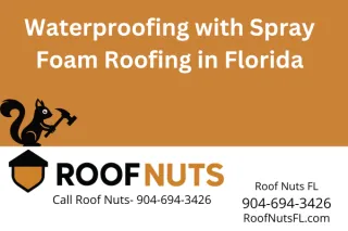 Florida Spray Foam Roof Waterproofing Services | Roof Nuts FL