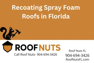 Florida Spray Foam Roof Recoating & Maintenance Services | Roof Nuts FL