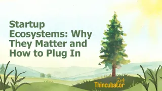 Startup Ecosystems: Why They Matter and How to Plug In