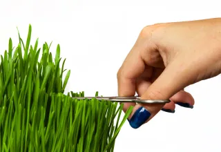 Perfectionism is Shooting Yourself in the Foot