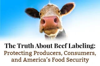 The Truth About Beef Labeling: Protecting Producers, Consumers, and America’s Food Security