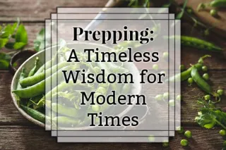 Prepping: A Timeless Wisdom for Modern Times