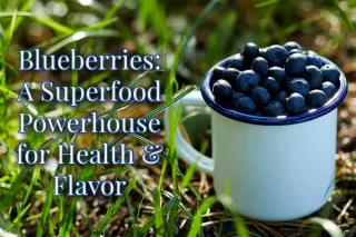 Blueberries: A Superfood Powerhouse for Health & Flavor