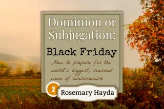 Dominion or Subjugation Part 2