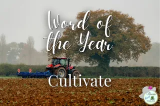 2026 Word of the Year