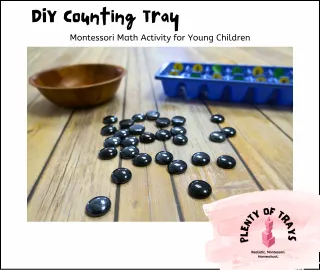 DIY Counting Tray