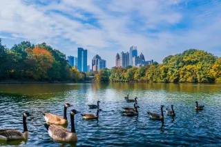 🌳 Piedmont Park: Atlanta’s Urban Oasis You Can’t Miss
