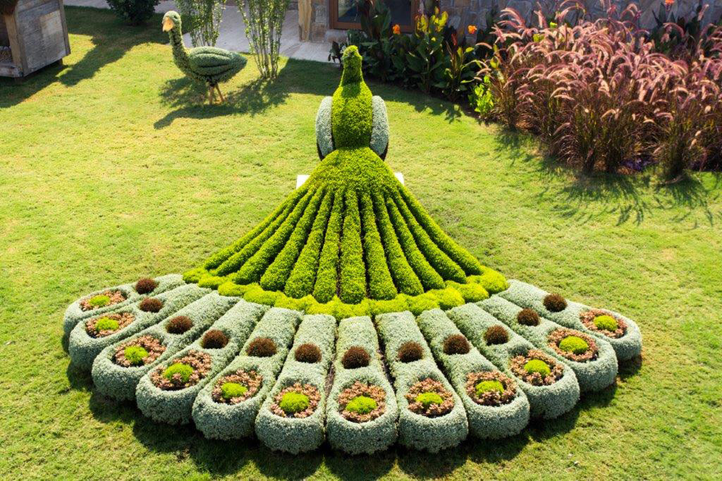 Exploring the Atlanta Botanical Garden: A Blooming Adventure in Atlanta, GA