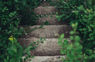 Step by Step to Restoration