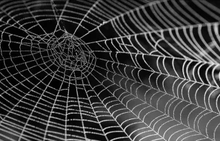 Remove the web of lies into the surrender of HIS WILL!