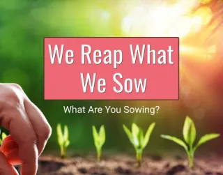 We shall reap what we have sown.