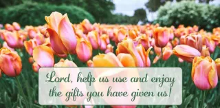 Using my Gifts for His Glory