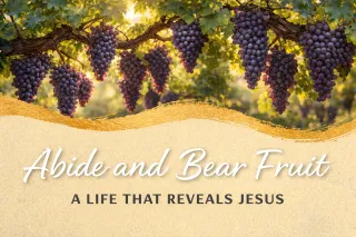 HOW TO ABIDE AND BEAR FRUIT: A LIFE THAT REVEALS JESUS