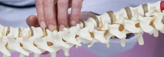 What Are The Educational Requirements For A Chiropractor in Colorado Springs, CO?