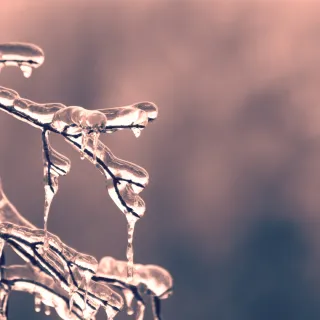 Winter, Your Season to Rest 