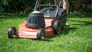 Lorem Ipsum Dolor Sit Amet Consectur Adenscing Ut