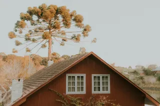 Lorem ipsum dolor sit amet consectetur. 3