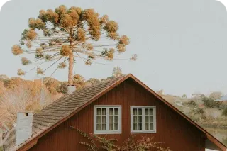 New Blog PoLorem ipsum dolor sit amet consectetur. 3st