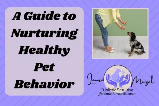 A Guide to Nurturing Healthy Pet Behavior