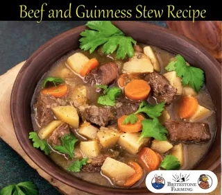 Beef and Guinness Stew