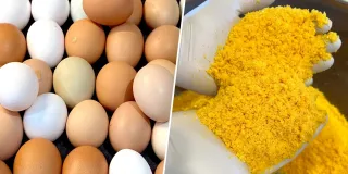 The Ultimate Guide to Freeze-Dried Eggs: Benefits, Uses, and Recipes