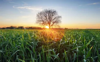 The Ultimate Checklist for Selling Vacant Land: The 3 Key Pieces of Information You Must Have to Sell Your Vacant Land.