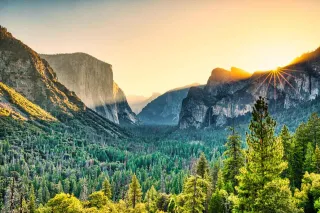 A Beginner’s Guide to Smartly Accepting Cash Offers for Land