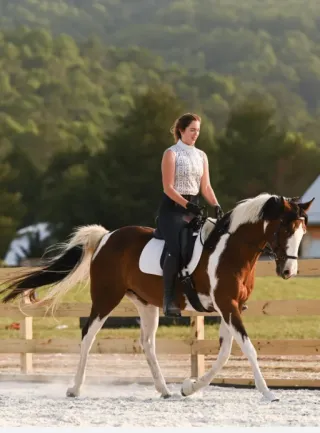 Americans and Dressage, are they oil and water?
