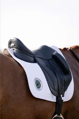 Forestier Sellier - a Natural Partnership