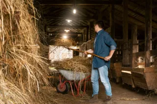 Used vs. New Hay Wagons: Cost Comparison for Pennsylvania Farms