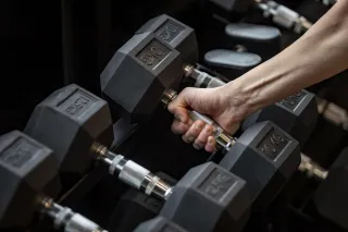 Talking About the Fibre-Muscle Link