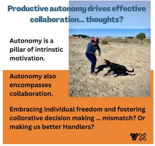 The Foundation of Excellence in HRD Dog Handling


