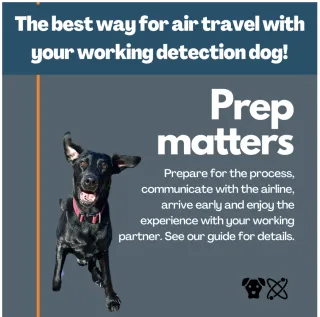 12 Tips for Traveling by Air with Your Working Detection Dog"