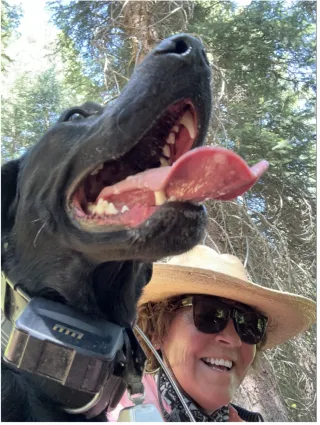 How Animal Behavior Helps Train Detection Dogs