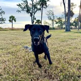 Becoming Through the Work