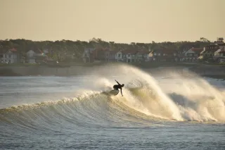 Riding The Wave: Finding Balance in Our Emotional Lives