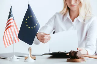 Understanding The Madrid Protocol