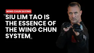 Siu Lim Tao is  the essence of  the Wing Chun system​