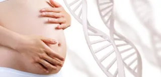 New Frontiers in Cystic Fibrosis Research