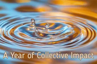 A Year of Collective Impact: How Early Childhood Services Are Re-Imagining Sustainability in Practice
