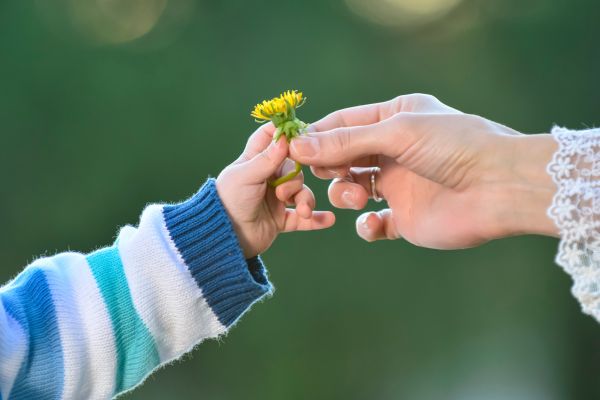 Blog 3: EXPERIENCE BECOMES BIOLOGY - How Your Influence Extends Across Decades