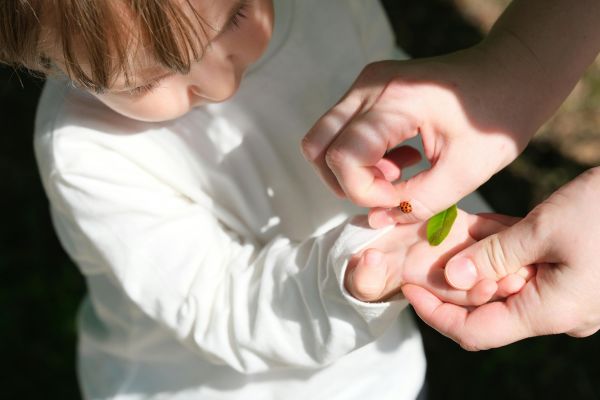 Blog 8: You Are a Catalyst