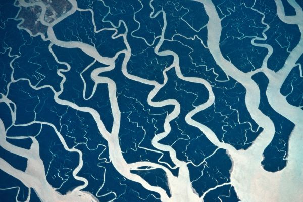 Blog 4 | Beyond the Newsletter: Why Family Engagement Feels Like Pulling Teeth