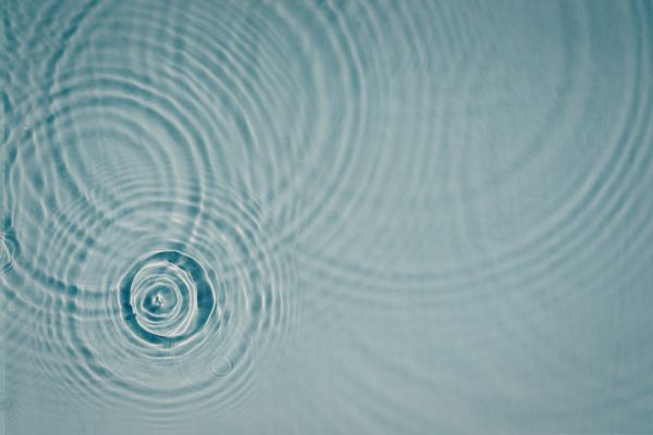 Blog 5 | From Program to Hub: How Leading Services Amplify Their Impact