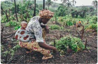 Land Reform: A Precondition for Sustainable Economic Development
