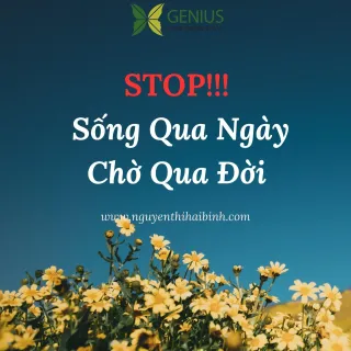 Sống Qua Ngày, Chờ Qua Đời?