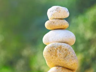 The “Big Rocks” of Weight Loss