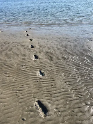 Best bewaarde geheim