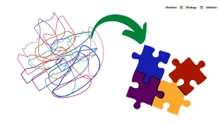 Organized Chaos