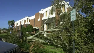 How to Protect Your Property from Trees During Hurricane Season in Destin, FL